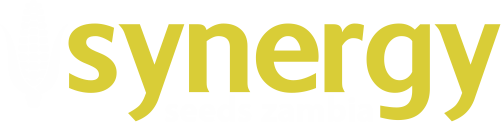 Synergy Seeds Zambia